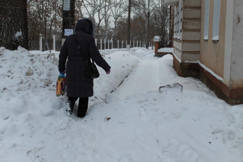 Активисты ОНФ призывают администрацию Кирова доработать муниципальный контракт на вывоз снега с улиц города