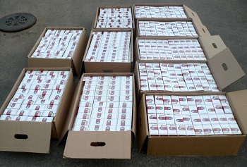 В Ленобласти полицейские обнаружили 70 тысяч упаковок нелегальных сигарет