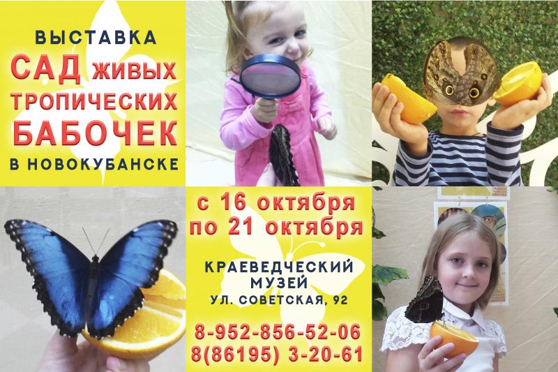 Впервые в Новокубанске контактная выставка «Сад живых тропических бабочек»!