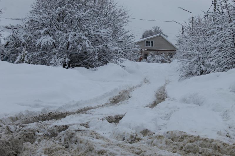 Воронежские активисты ОНФ проверили качество уборки снега в Борисоглебске