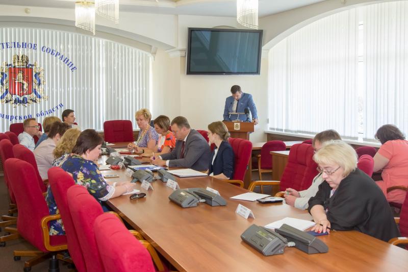 Депутаты ЗС 33-го региона обсудили проблемы здравоохранения Собинского района с облздравом