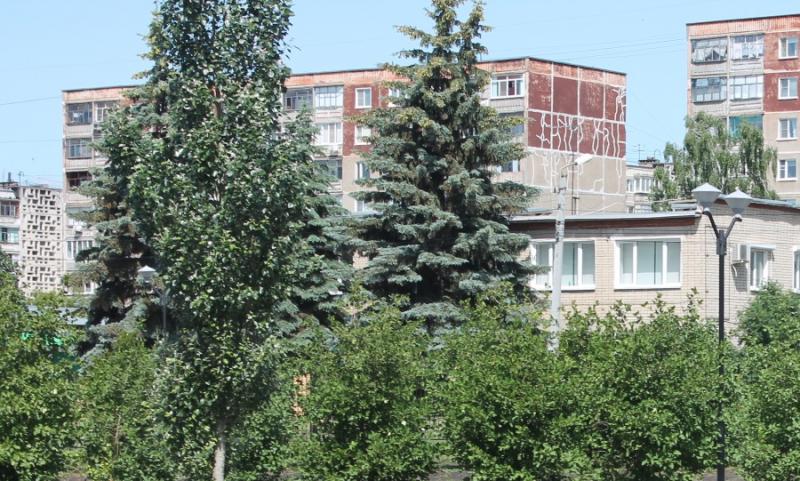 Депутаты Госсобрания Мордовии поддержали инициативу ОНФ о создании «зеленого щита» Саранска