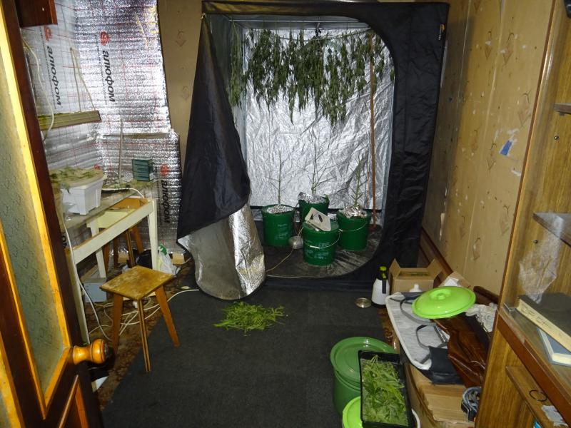 В Норильске задержан подозреваемый за хранение марихуаны в крупном размере