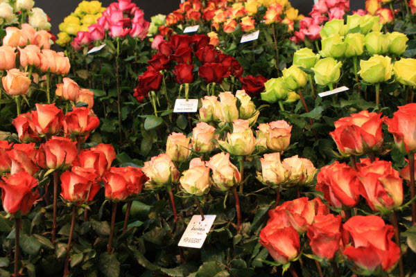 О перспективах онлайн-торговли цветами рассказали специалисты Flora Express и CloudPayments