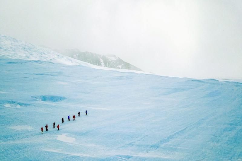 Волонтеры смогут попасть в Антарктиду в рамках программы Airbnb Sabbatical