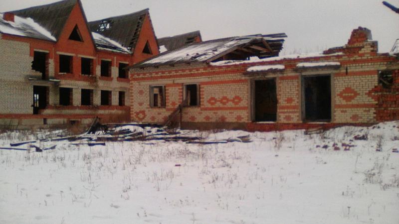 Cадик-беспризорник в Кочкуровском районе Мордовии стал опасным
