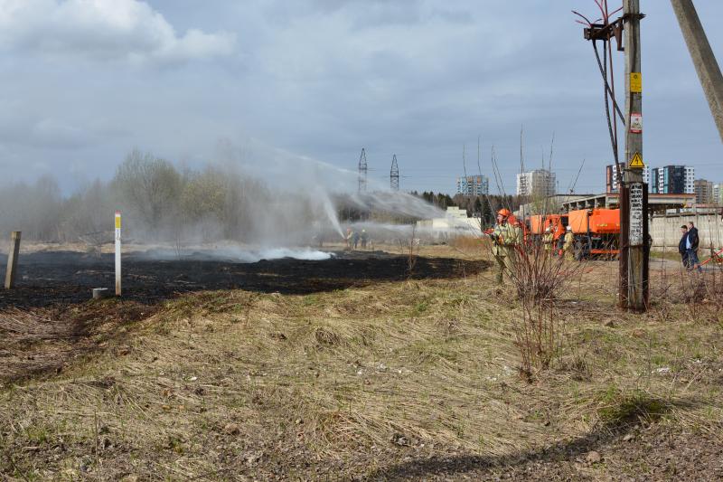 Тренировки по тушению природных пожаров проходят в Зеленограде