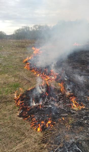 34 раза за прошедшие сутки выезжали пожарные «Мособлпожспас» на тушение возгораний травы