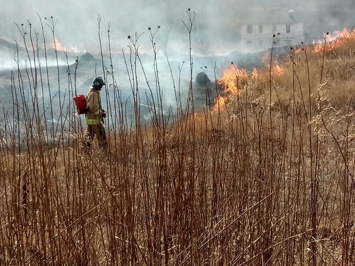 Пожарные ГКУ МО «Мособлпожспас» напомнили жителям Подмосковья об опасности пала травы