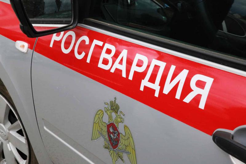 В Мордовии росгвардейцы задержании пьяного водителя