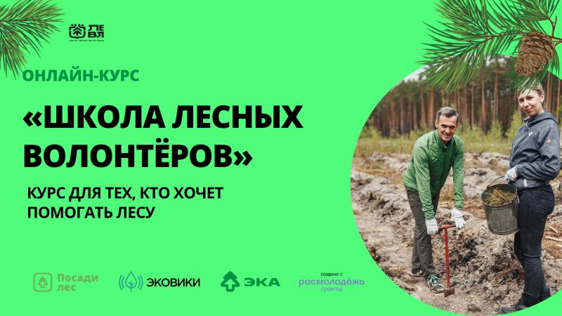 Жителей Кировской области приглашают принять участие в школе лесных волонтеров