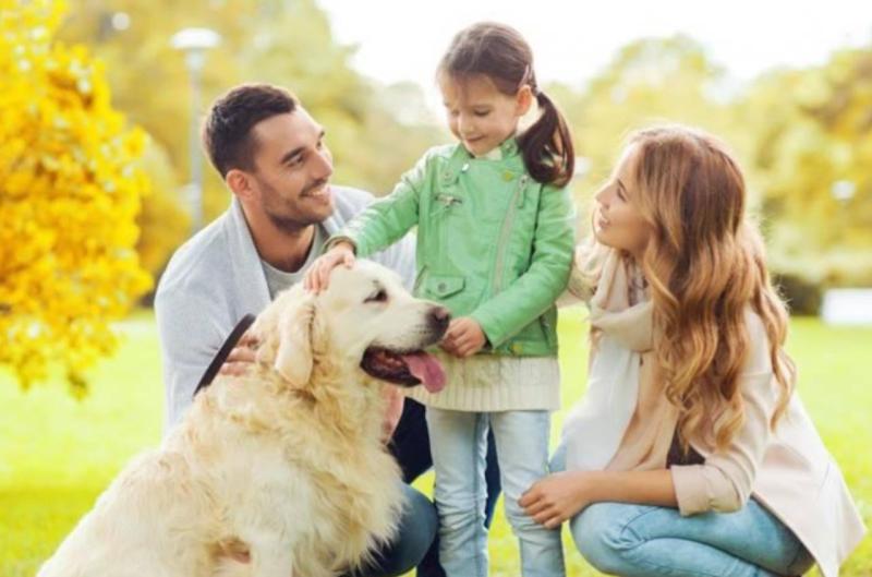 Идеальная порода для вашей семьи: какую собаку выбрать