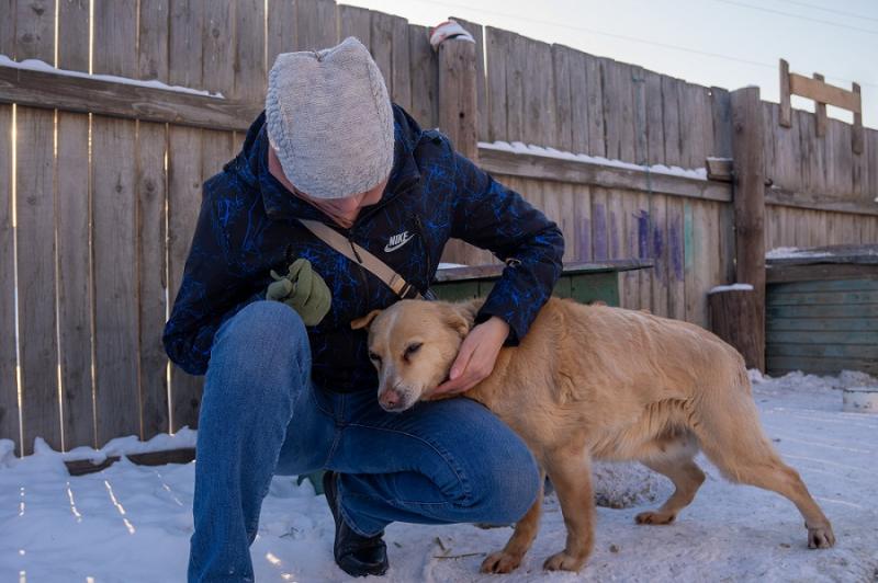 Фонд «Милосердие» передал подарки приюту животных в Алтайском крае