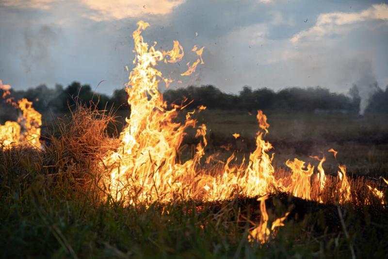 За неделю произошло более 170 пожаров в Новосибирской области