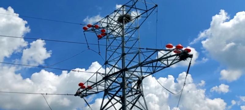 «Россети» установят более 25 тыс. новых птицезащитных устройств на магистральных сетевых объектах Дальнего Востока