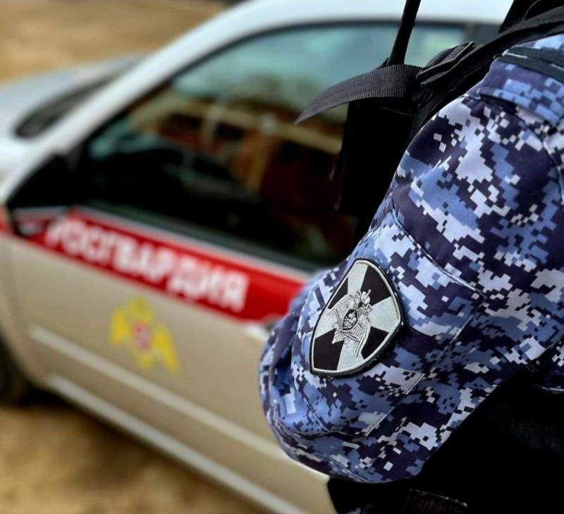 Сотрудники Росгвардии задержали подозреваемого в совершении нескольких краж из магазина в подмосковной Коломне